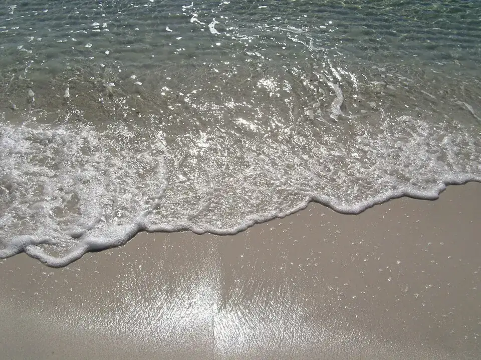 Miramar Beach Fishing: Surf Tackle and Access Choices