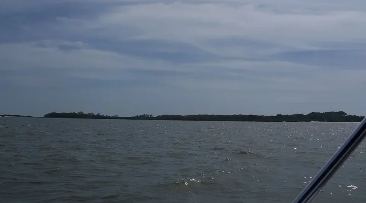 Atsena Otie Key Fishing: A Cedar Key Island Trip