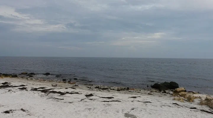 Mashes Sands Fishing: Tides, Shore Bait and Access