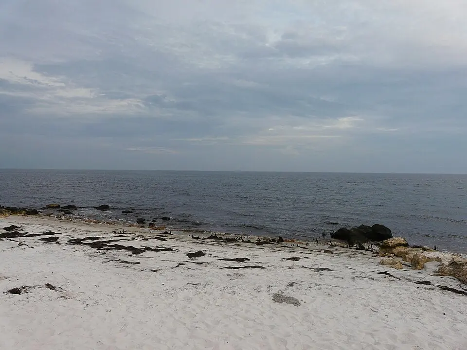 Mashes Sands Fishing: Tides, Shore Bait and Access