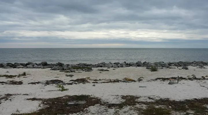 Alligator Point Fishing: Public Access and Surf Bait