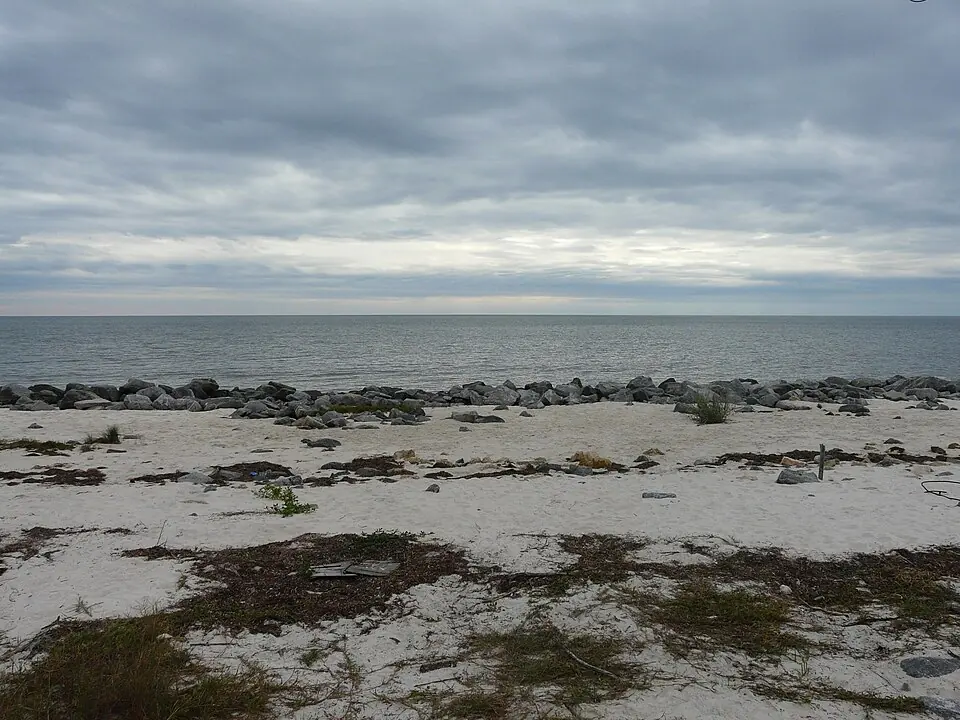 Alligator Point Fishing: Public Access and Surf Bait