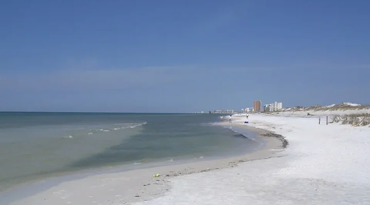 Gulf Lagoon Beach Fishing: A Thomas Drive Surf Plan