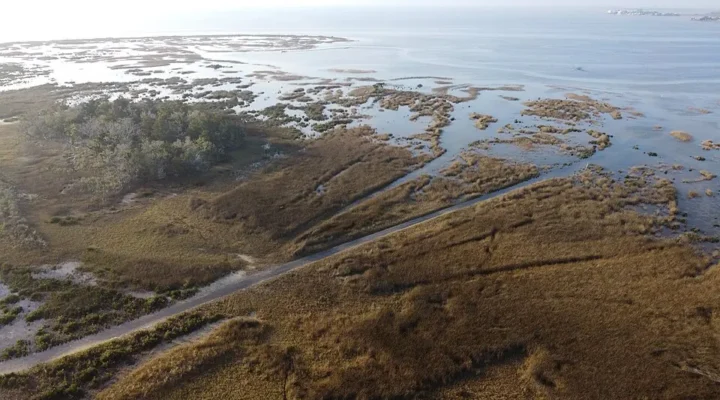 Hagen’s Cove Fishing: Shallow Flats Near Steinhatchee