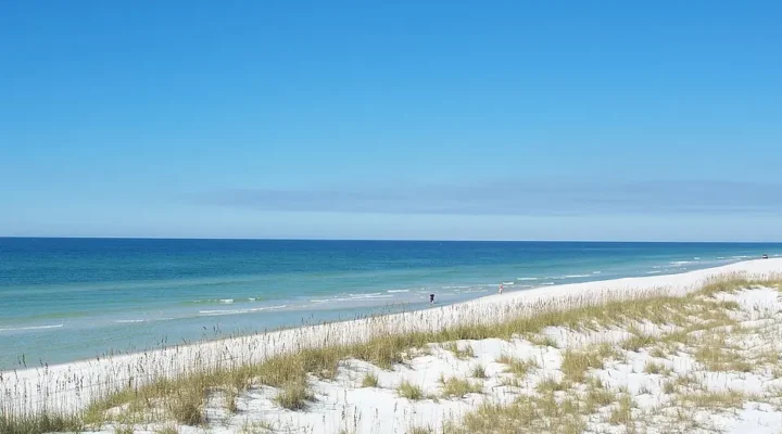 St. Joseph Peninsula Fishing: Gulf and Bay Choices