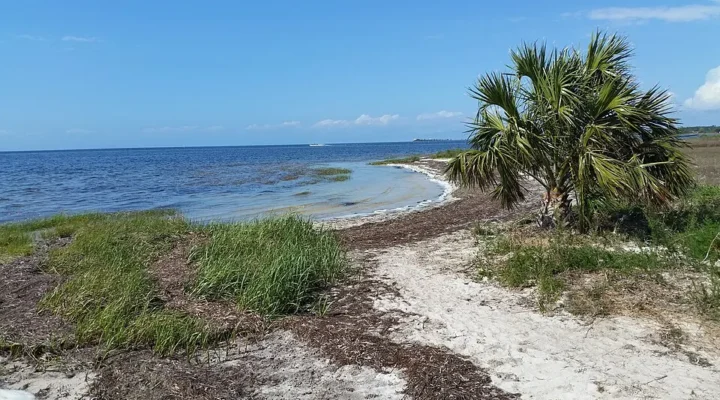 Keaton Beach Fishing: Shore Access and Flats Tackle