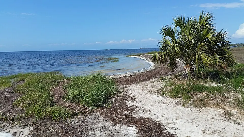 Keaton Beach Fishing: Shore Access and Flats Tackle
