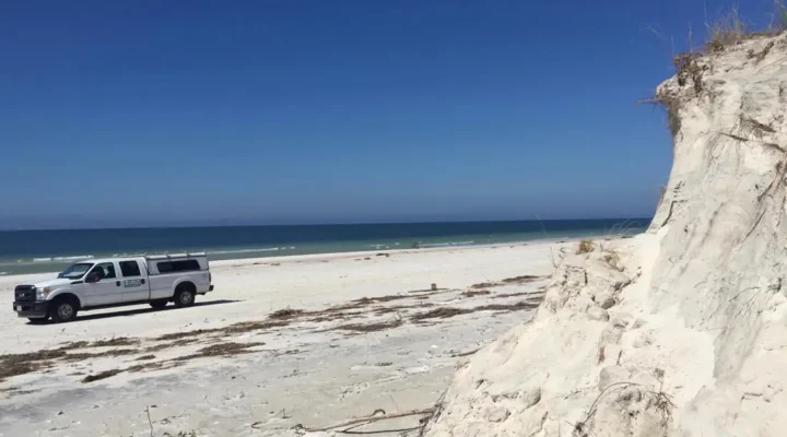 Cape San Blas Fishing: Gulf Surf or St. Joseph Bay?