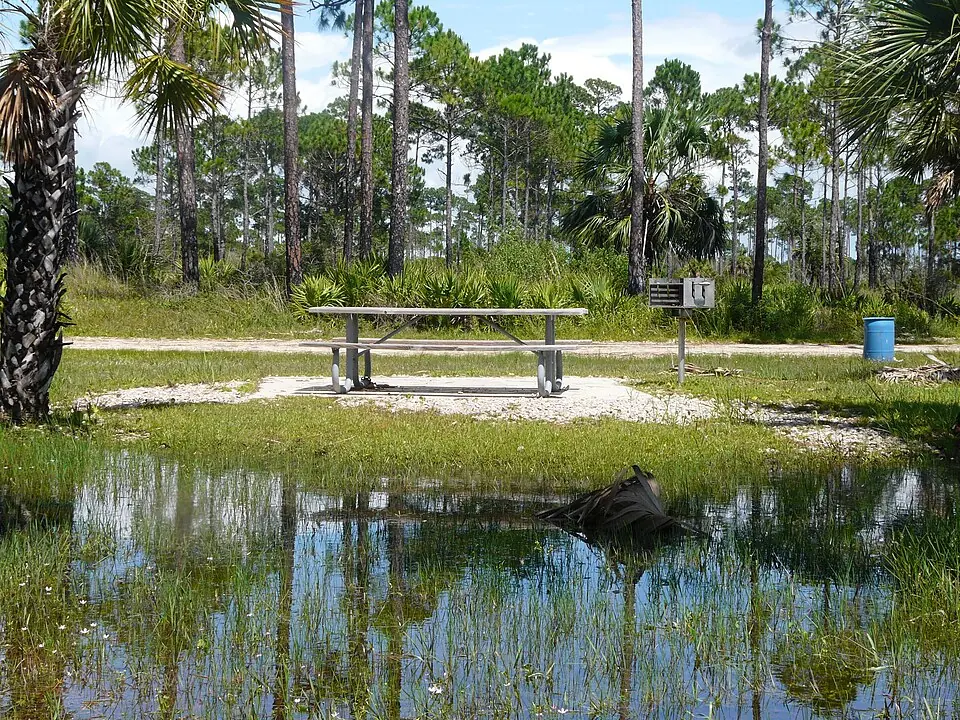 Picnic area at Hagen's Cove