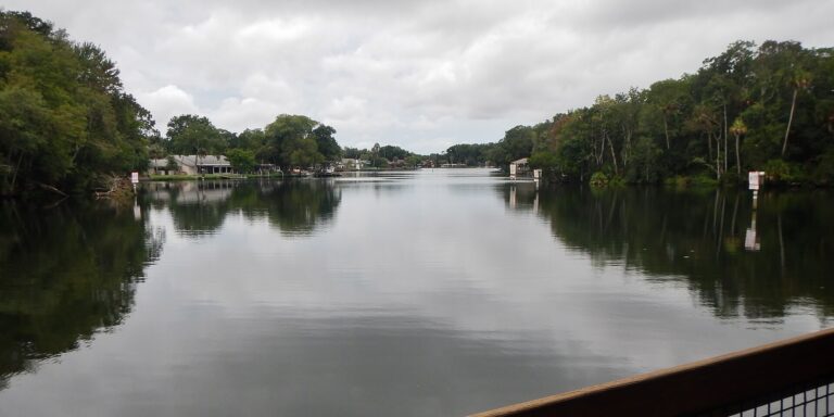 Homosassa riverfront water and shoreline in 2015