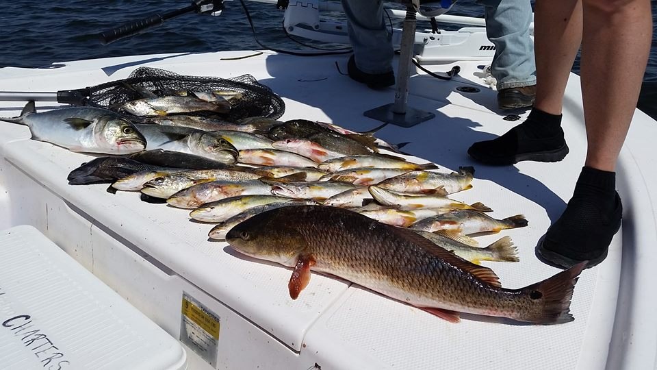 Mixed fishing catch laid across the deck of a Crystal Sea boat