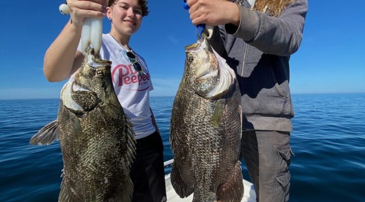Pine Island Charter Fishing anglers holding black drum