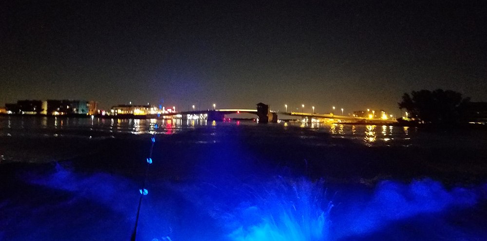 Salty Confusion evening view of waterfront lights from the boat