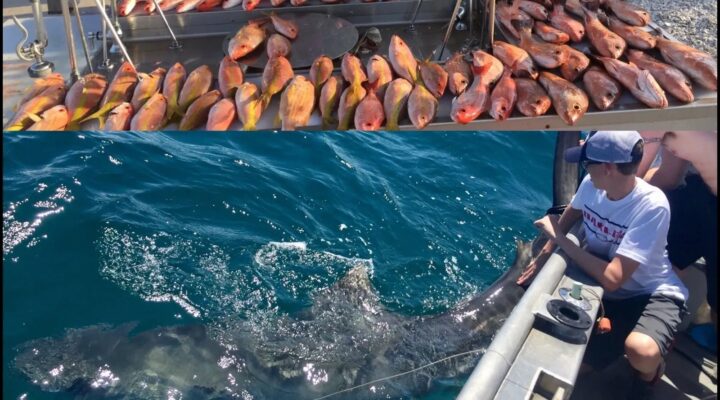 Sanibel Offshore Fishing Charters photo collage of fishing guests and a goliath grouper beside the boat