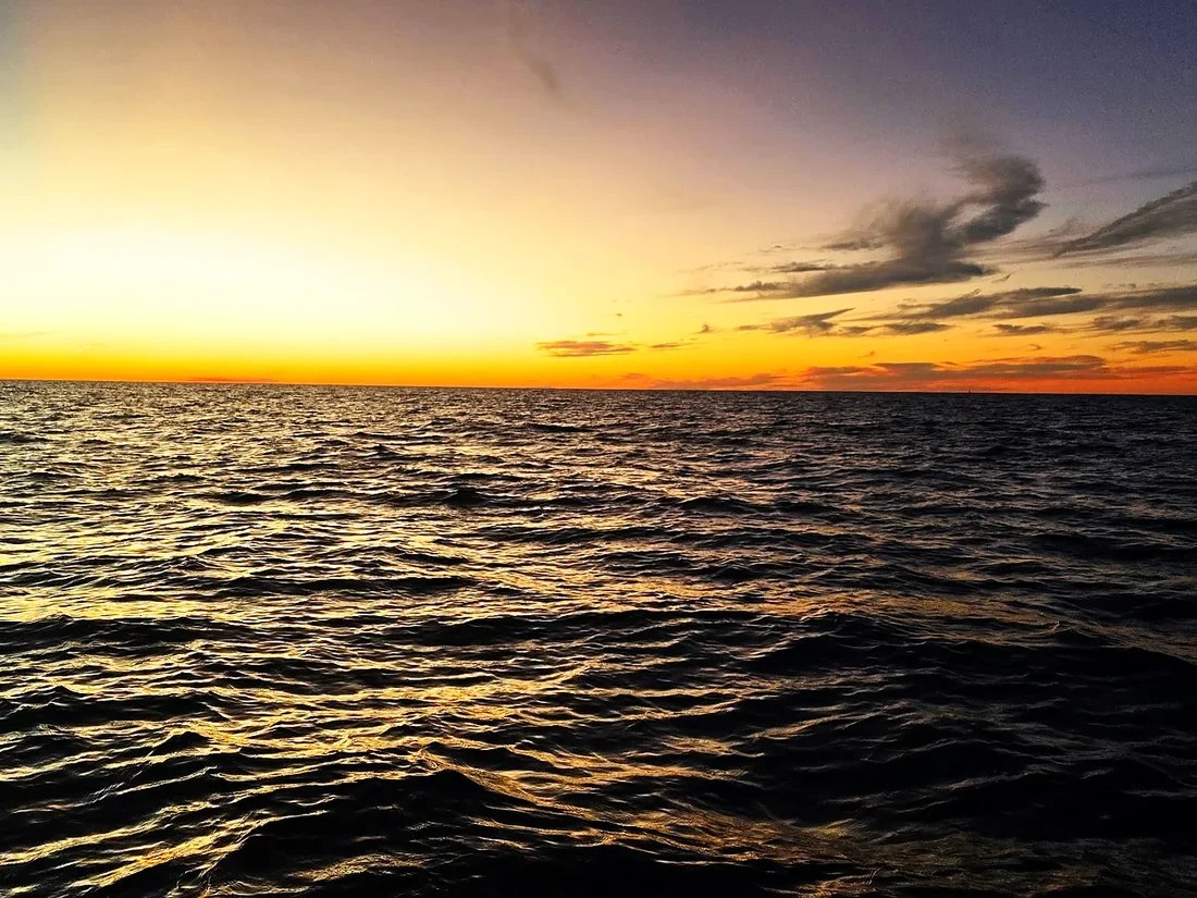 Sarasota Sportfishing sunset over Gulf water