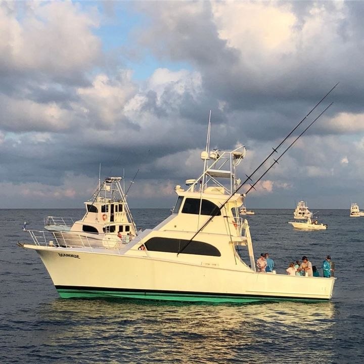 Seahorse charter boat at twilight