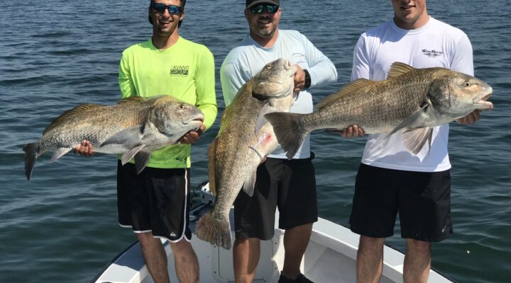 Seein Red Sport Fishing anglers displaying black drum
