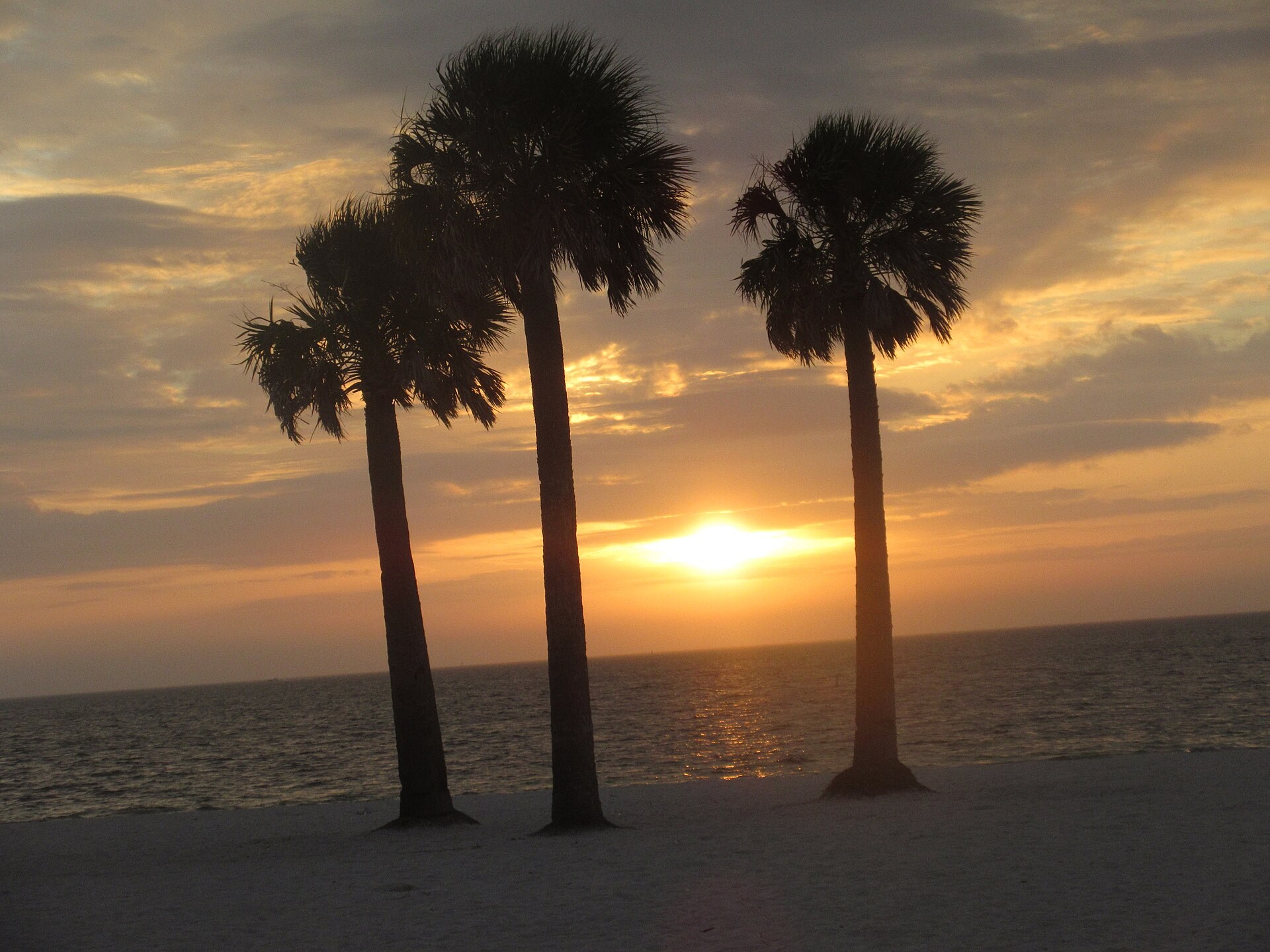 Sunset and palms at Fred Howard Park in Tarpon Springs in 2018