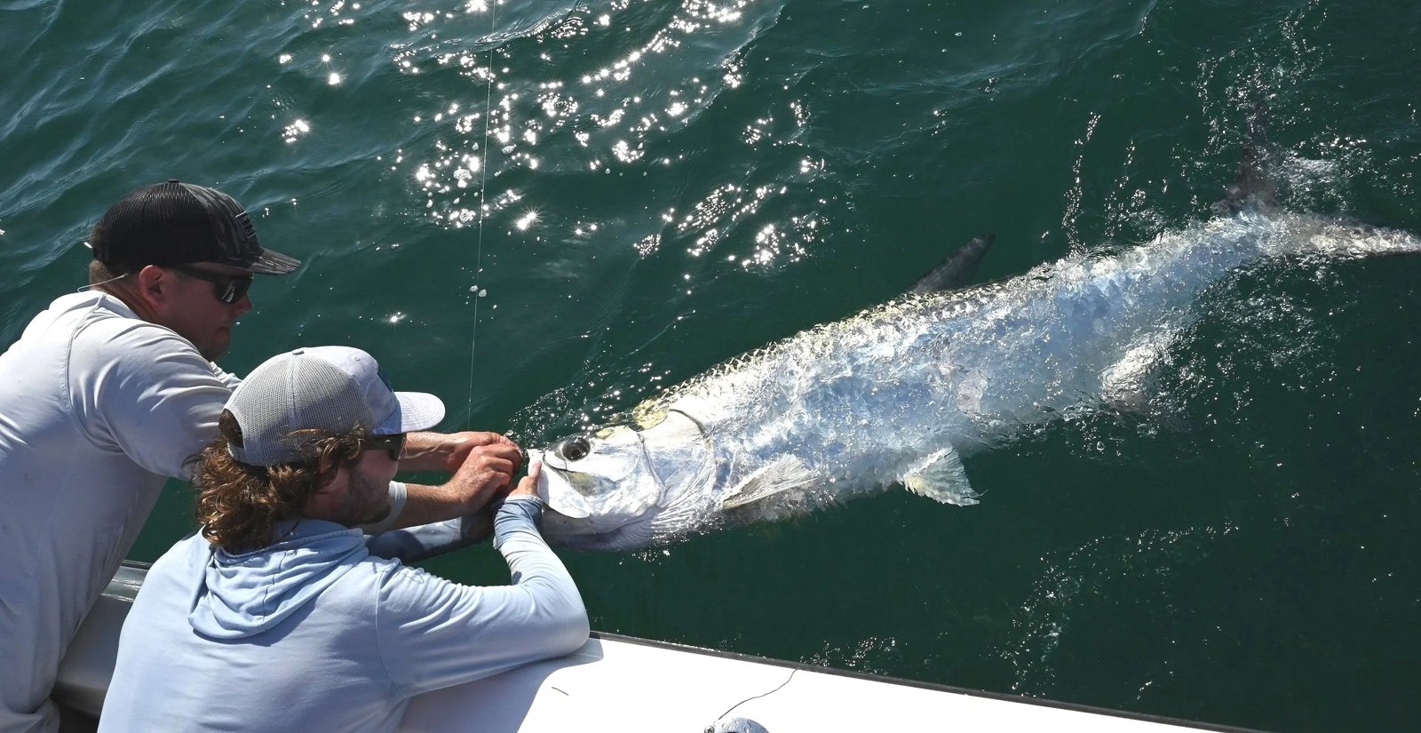 Task Force Fishing Charters anglers handling a tarpon beside the boat