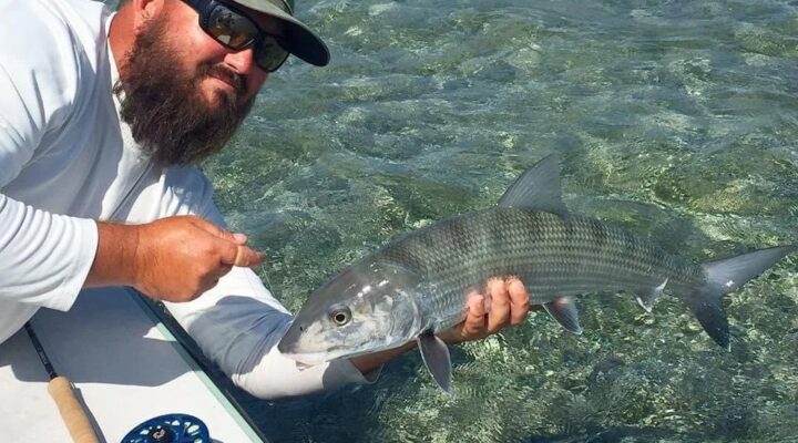 772 Fly and Light Tackle Charters angler releasing a fish in shallow water