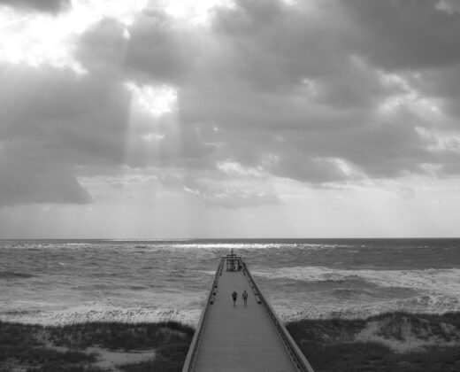 Amelia Island Fishing Guide: Access, Fish & Bait