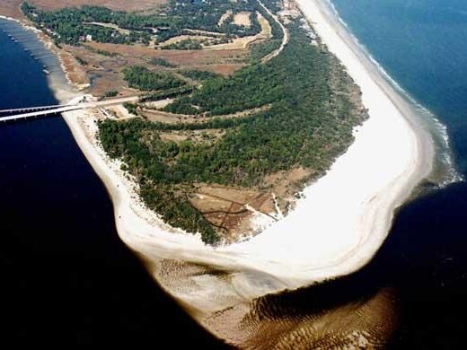 Amelia Island State Park Fishing Guide: Access, Fish & Bait