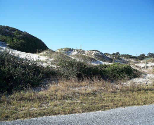American Beach Fishing Guide: Access, Fish & Bait