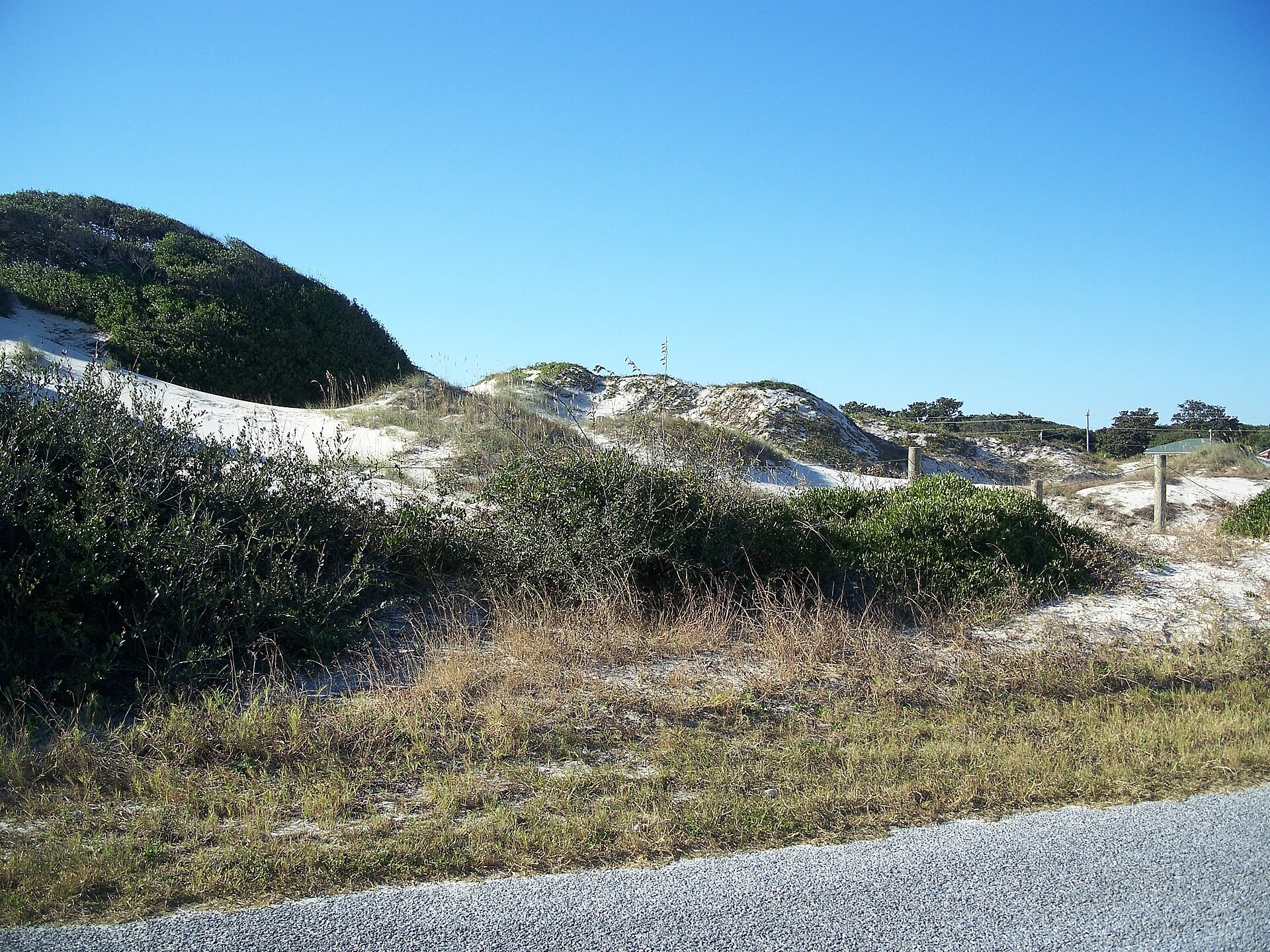 The NaNa sand dune and coastal vegetation at American Beach