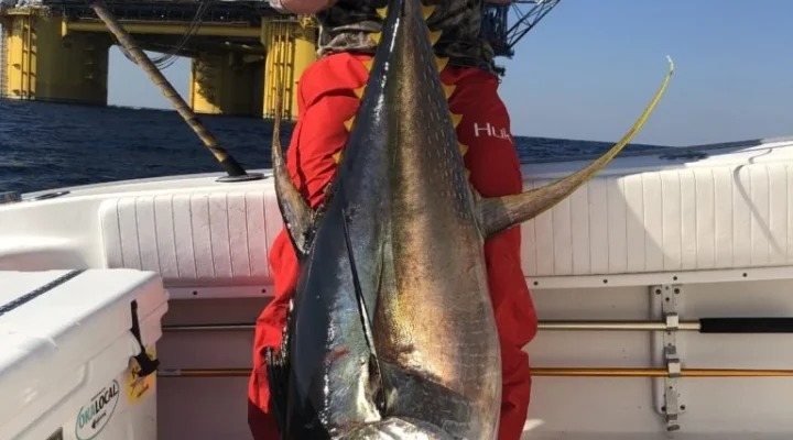 An angler displays a large tuna on a One Shot offshore fishing trip