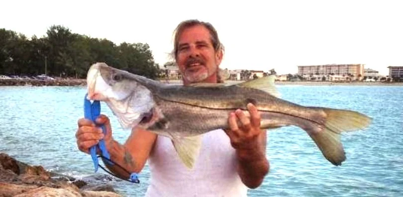 Angler holding a snook beside coastal water on a Venice Reef Charters trip