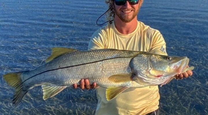 Angler holding a snook beside the water with Coyote Cruise and Charter