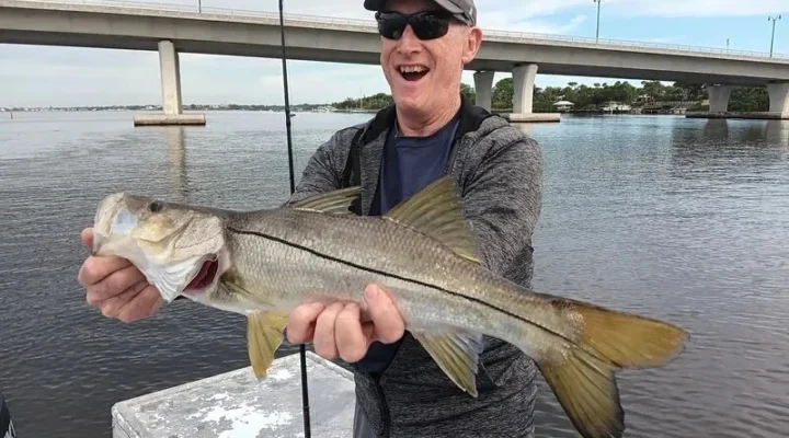 Angler holding a snook with a bridge in the background