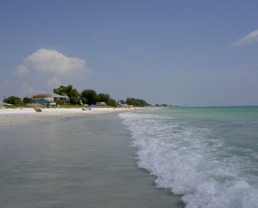 Anna Maria Island Fishing Guide: Access, Fish & Bait