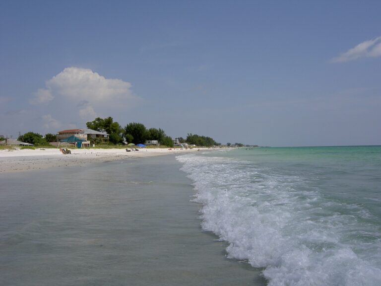 Small Gulf waves washing onto the sandy shore of Anna Maria Island