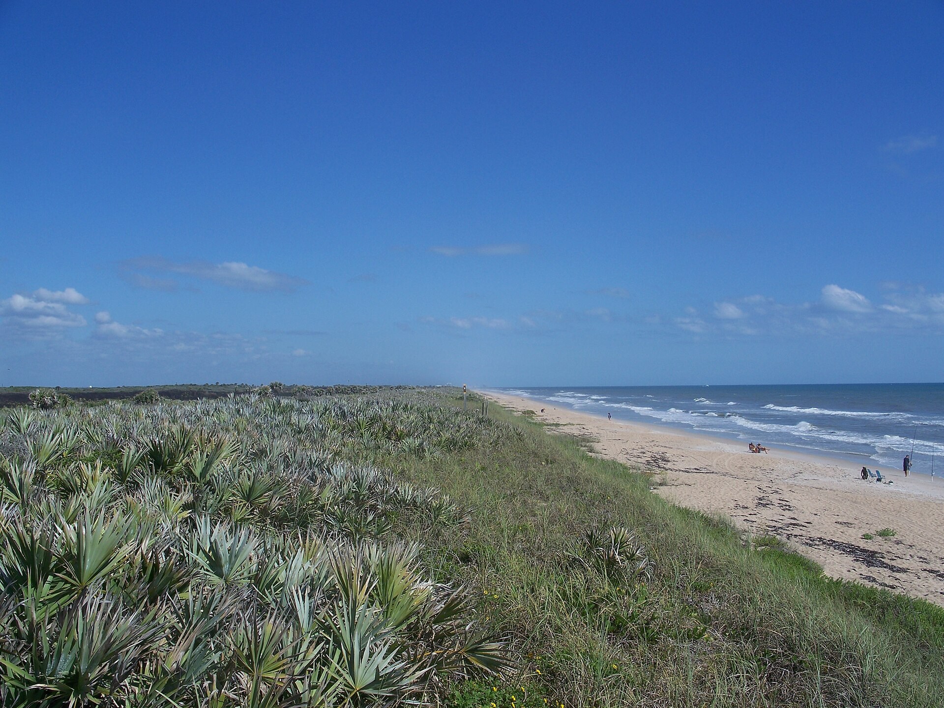 Dunes and Atlantic surf at Apollo Beach in Canaveral National Seashore