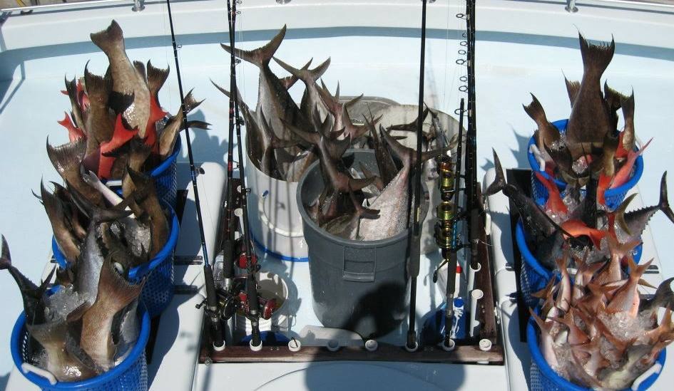 Baskets of fish on the Entertainer deck