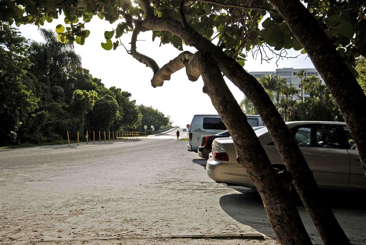 Shade trees and parked vehicles at Bluebill Beach Access