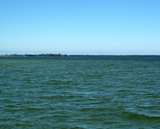 Bokeelia Fishing Guide: Access, Fish & Bait