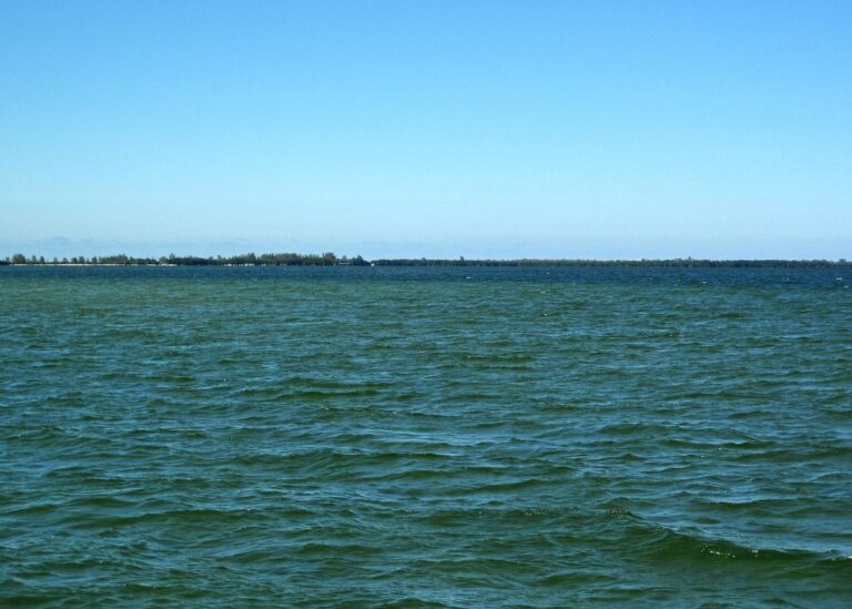 Open Pine Island Sound water with a low distant shoreline