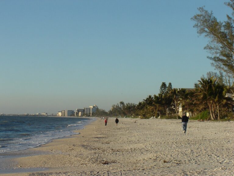 Bonita Beach Gulf shoreline with sand, trees and distant buildings
