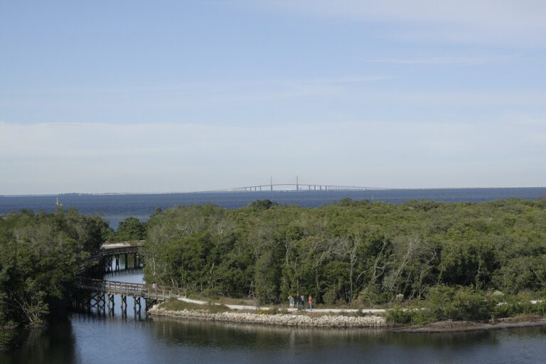 Mangroves, boardwalk and tidal water at Robinson Preserve in November 2009