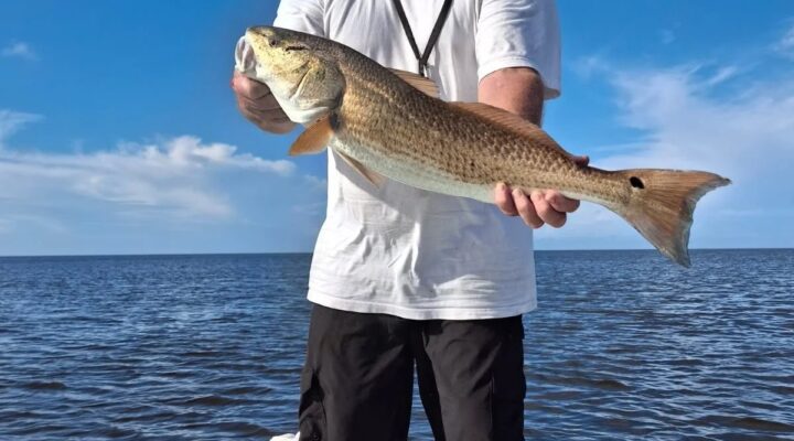 Chosen Waters angler holding a redfish on the boat