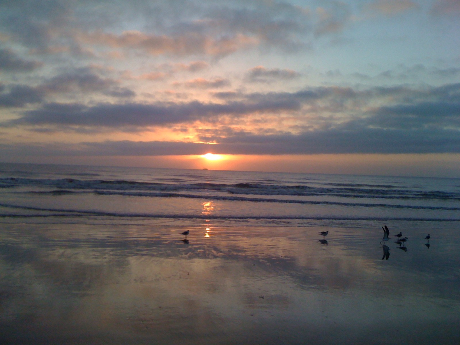 Sunrise reflected on wet sand with shorebirds at Cocoa Beach