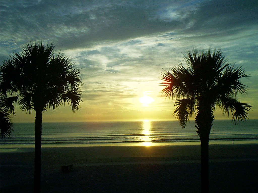 Sunrise over the Atlantic framed by palms at Daytona Beach Shores