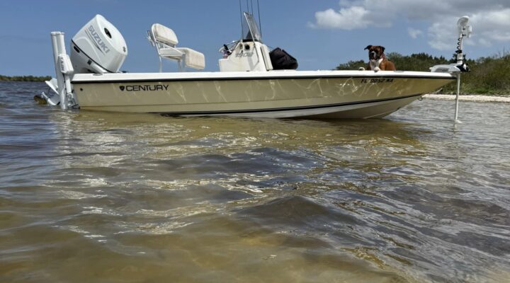 Fin Finder Charters flats boat floating beside the shoreline