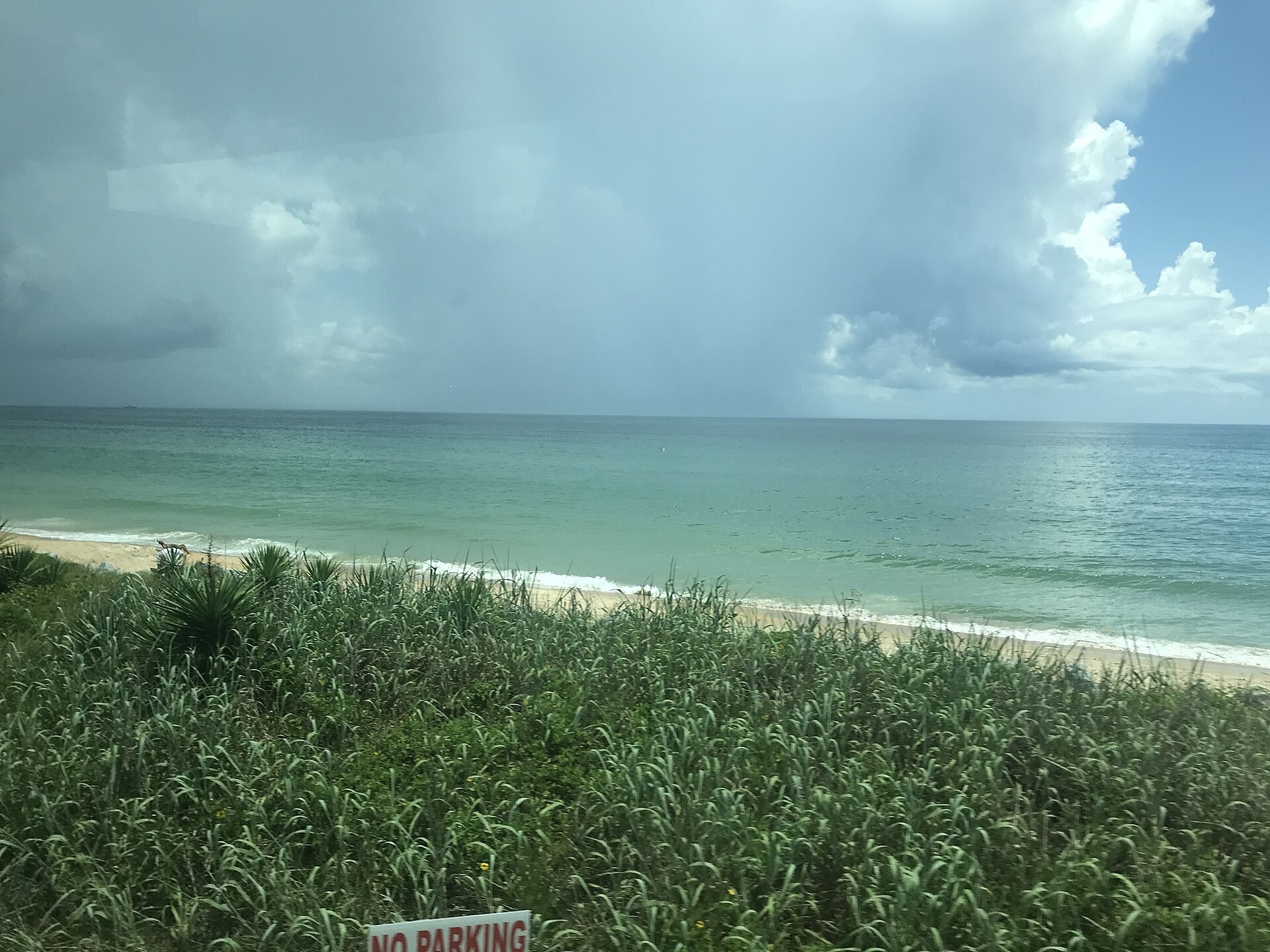 Atlantic water and cloudy sky beyond dune vegetation at Flagler Beach