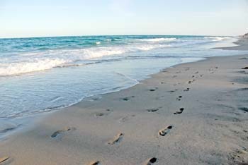 Sand and Atlantic surf at Gulfstream Park