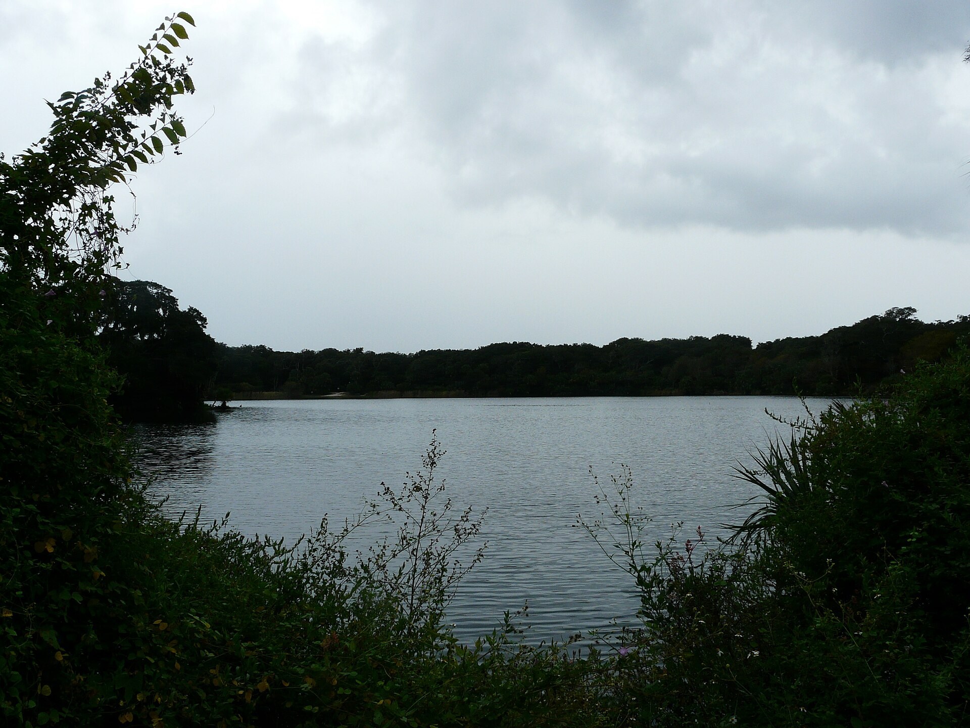Freshwater lake bordered by trees at Kathryn Abbey Hanna Park
