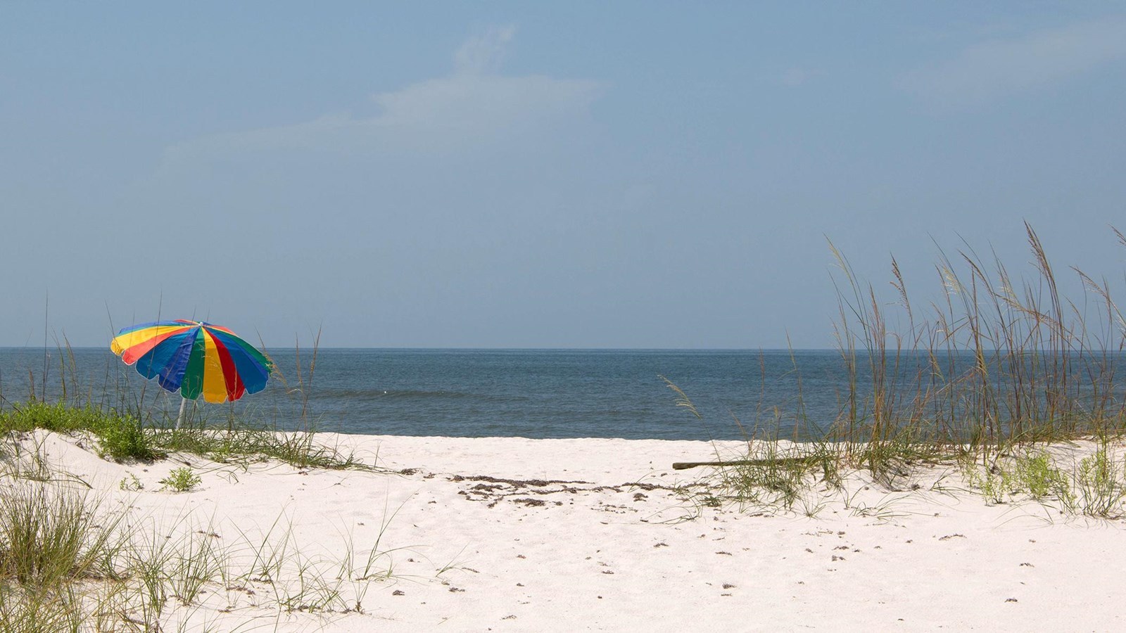 Beach umbrella and Gulf shoreline at Johnson Beach