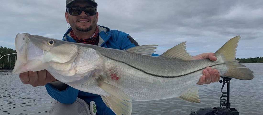 JP fishing angler holding a large snook